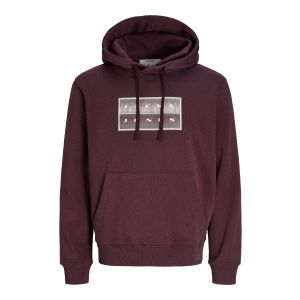 Jack & Jones Hoodie Gradient Block Roodbruin