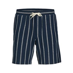 Jack & Jones Shorts Resort Donkerblauw Gestreept